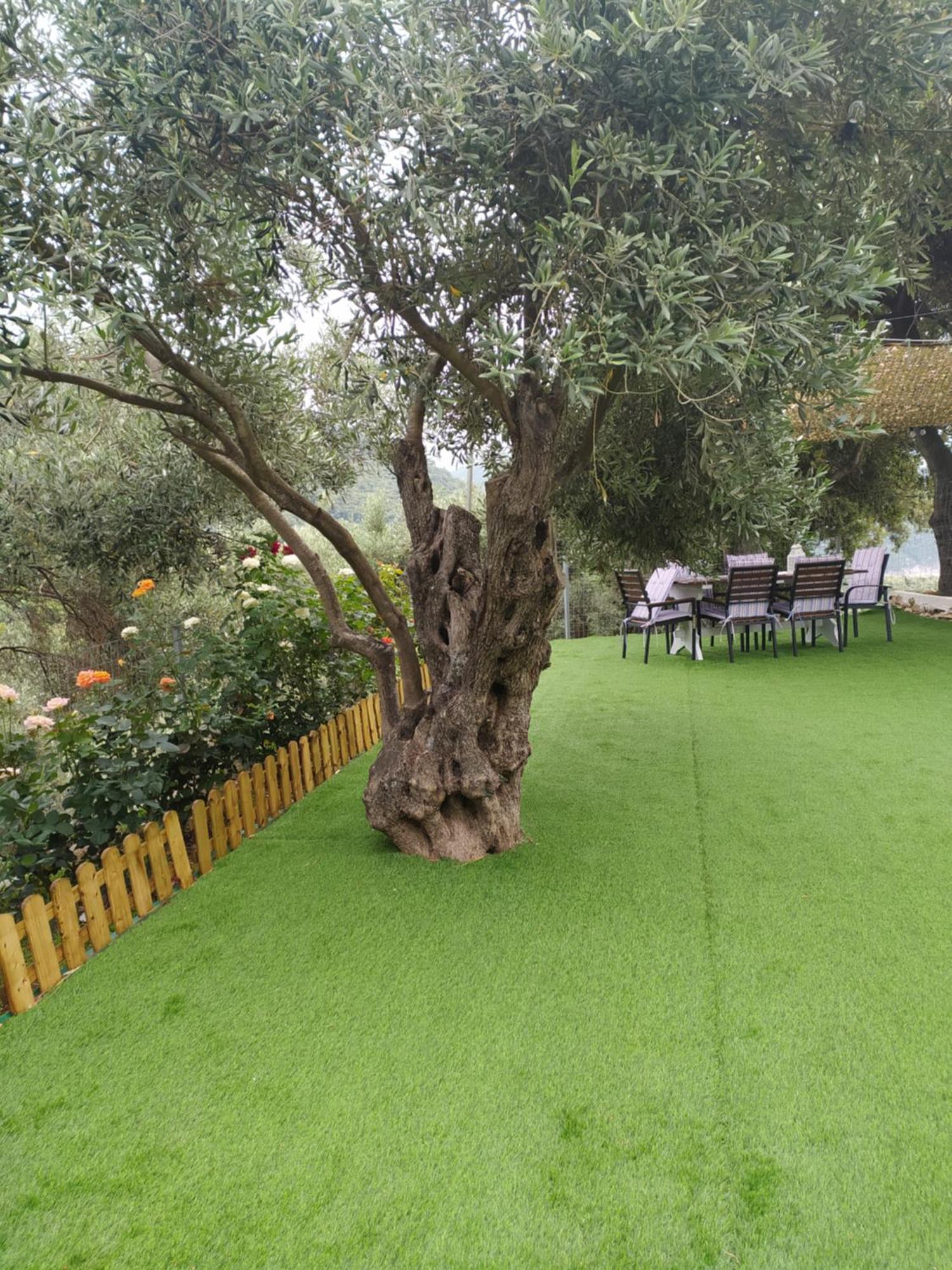 Limenari Cottage Kechria Dış mekan fotoğraf